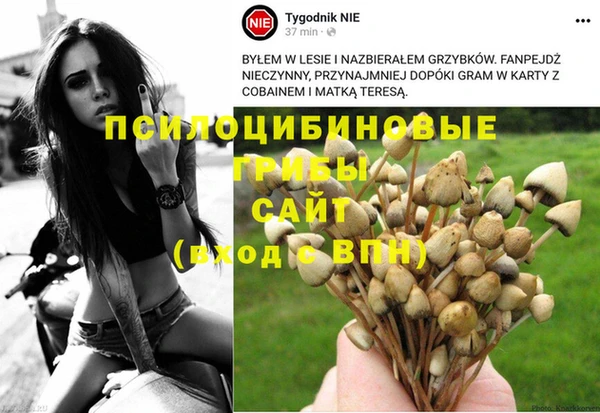 СК Ладушкин