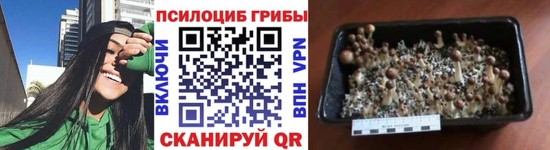 Галлюциногенные грибы MAGIC MUSHROOMS Фёдоровский